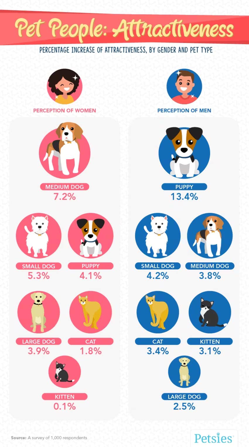 most attractive pets men women