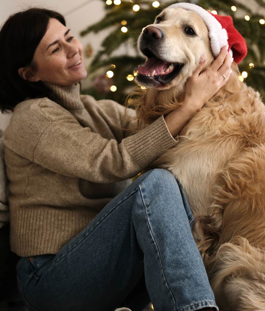 Dog who understand intention being praised for a holiday gift and loving it