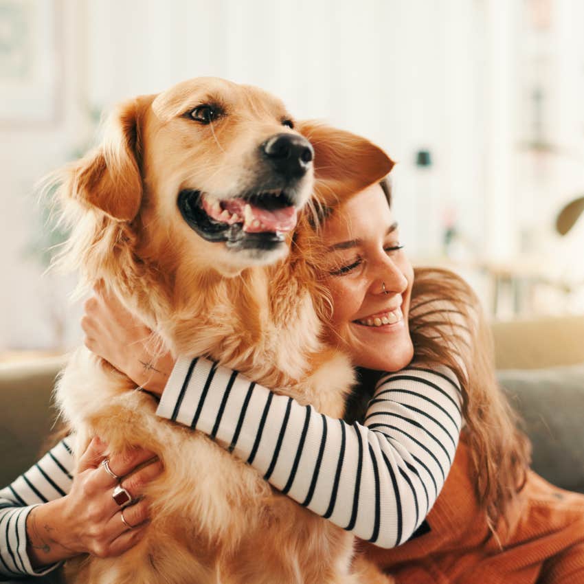 Classifying pets as property puts an undue burden on taxpayers