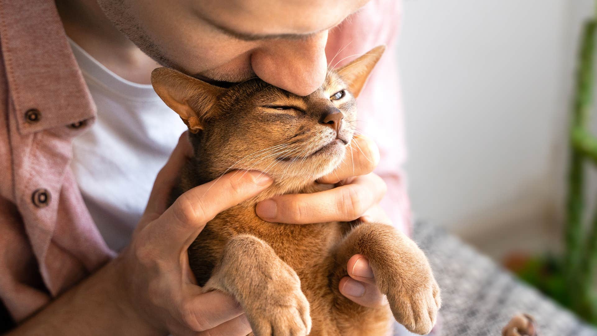 man kissing his cat's head