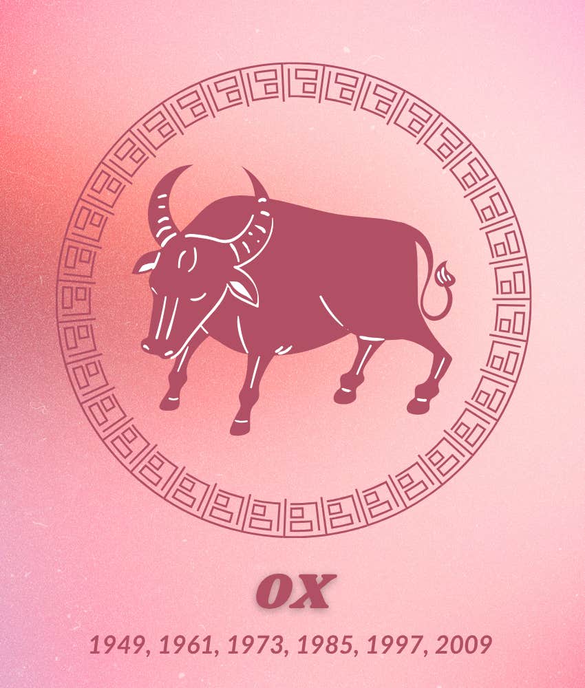 parents chinese astrology secretly wish kids ox animal sign
