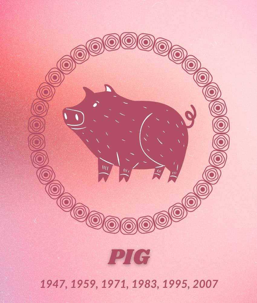 parents chinese astrology secretly wish kids pig animal sign