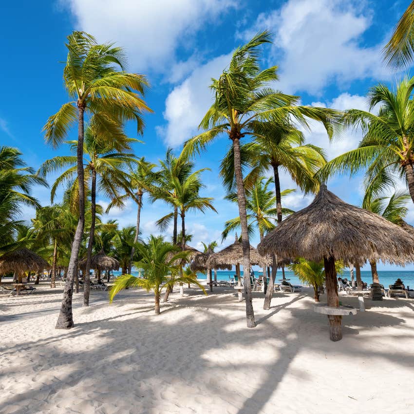 people who love crystal clear water love palm beach, aruba