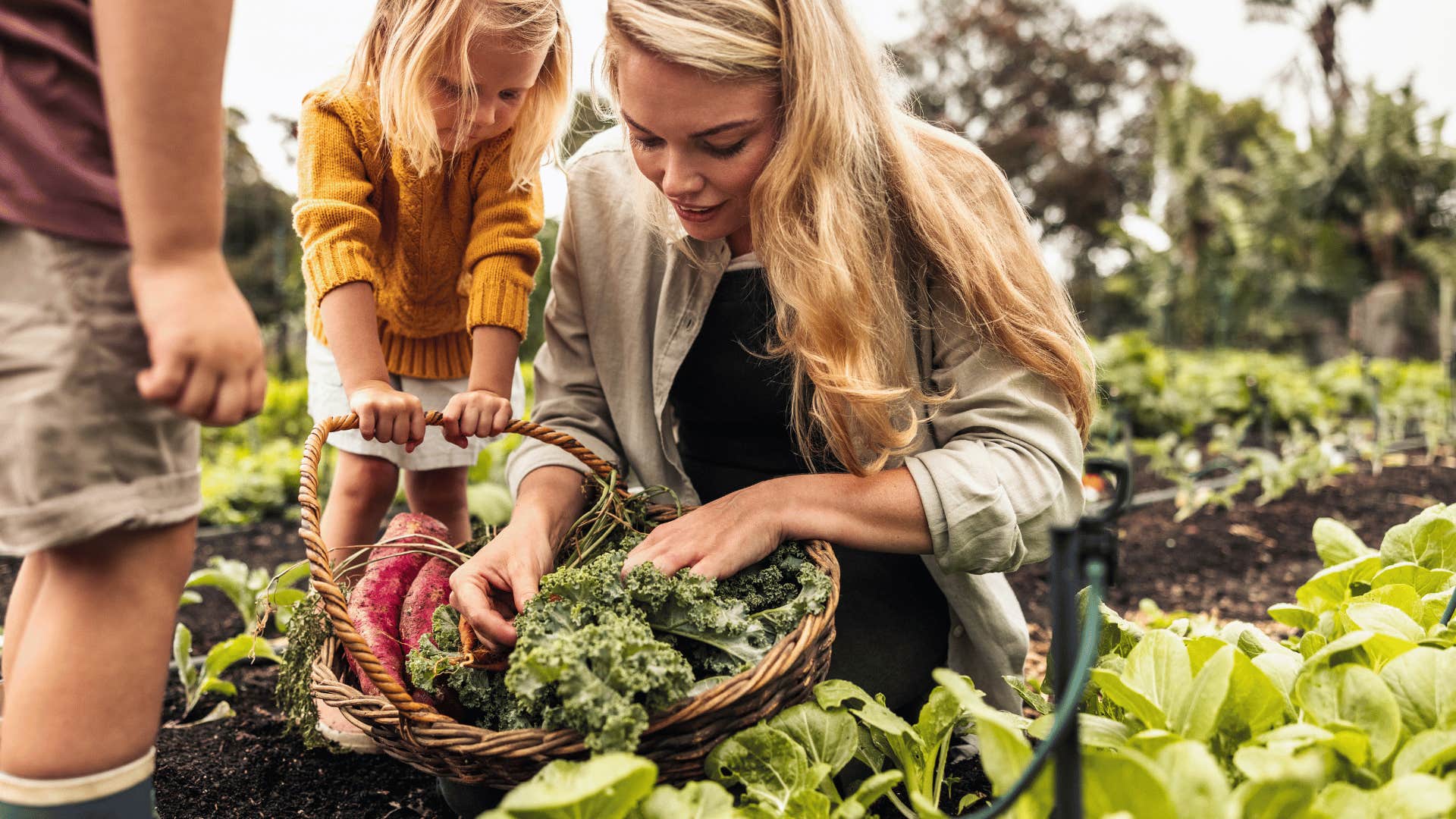 people with simple minds love these hobbies that bore highly analytical thinkers basic gardening