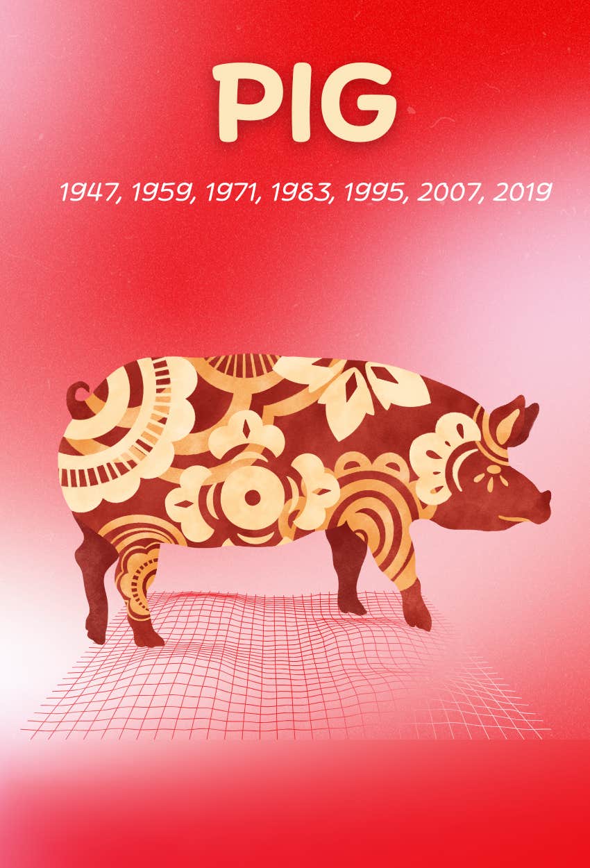 pig chinese zodiac signs abundance december 8 - 14, 2025