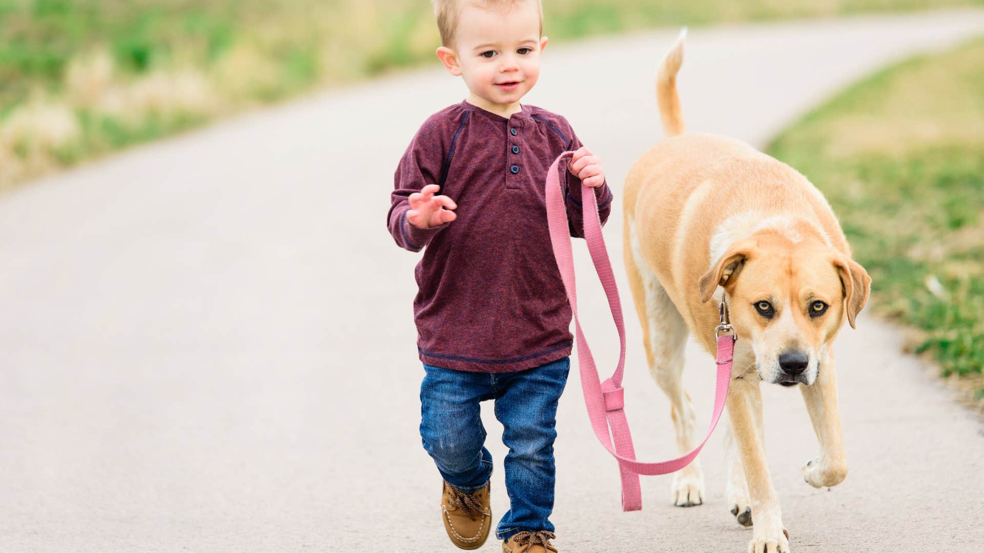Growing up without pets makes people struggle with non-verbal communication