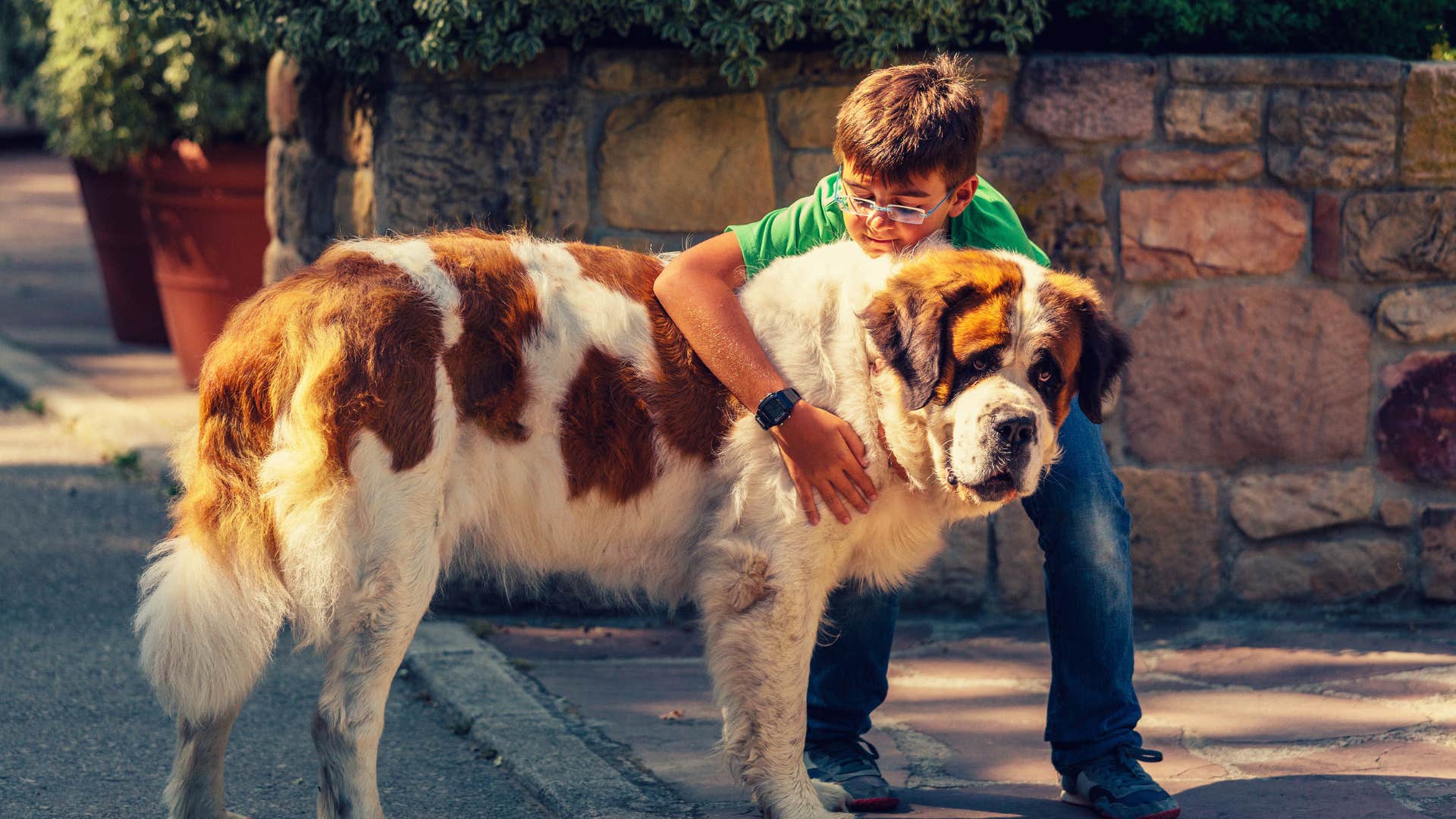 Growing up without pets makes people uncomfortable with emotional messiness
