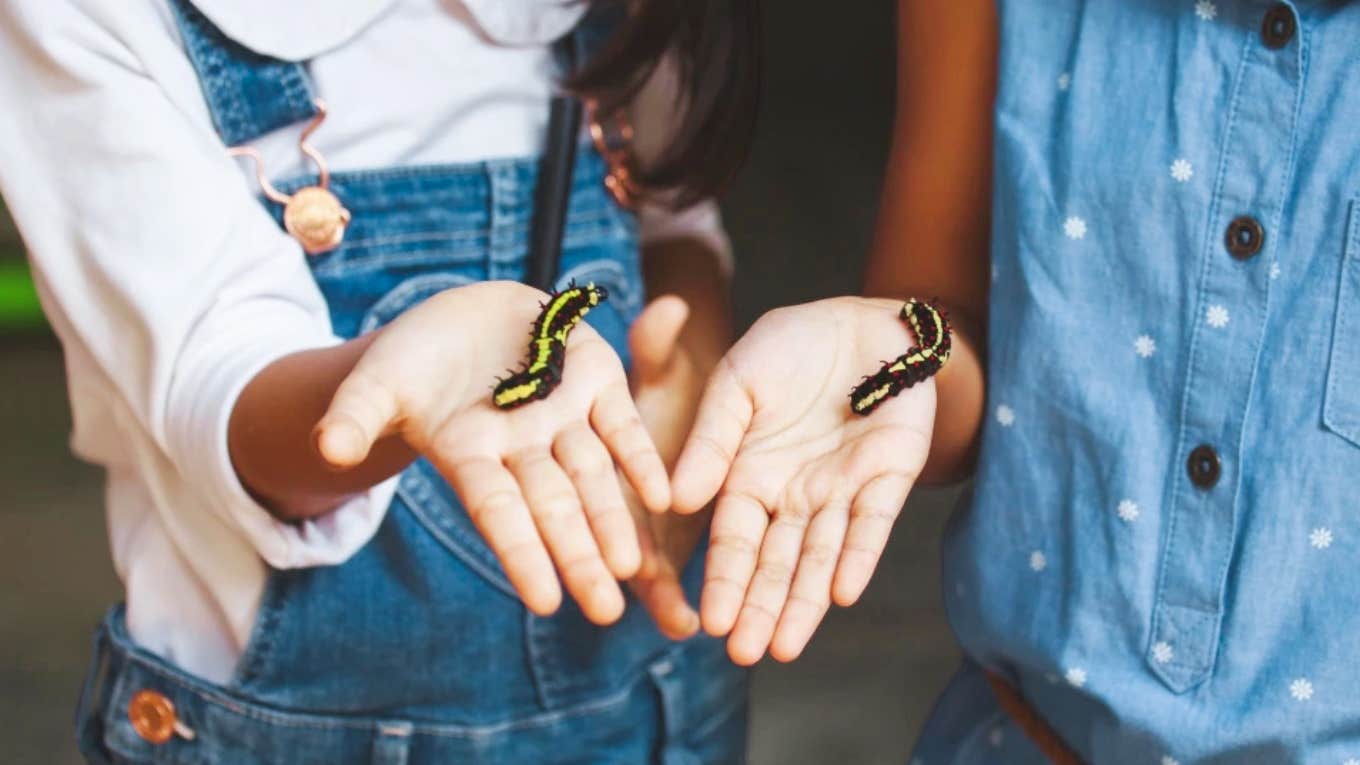 Kids holding a caterpillar in their hands showing the wildly unexpected thing caterpillars do when you raise your voice.
