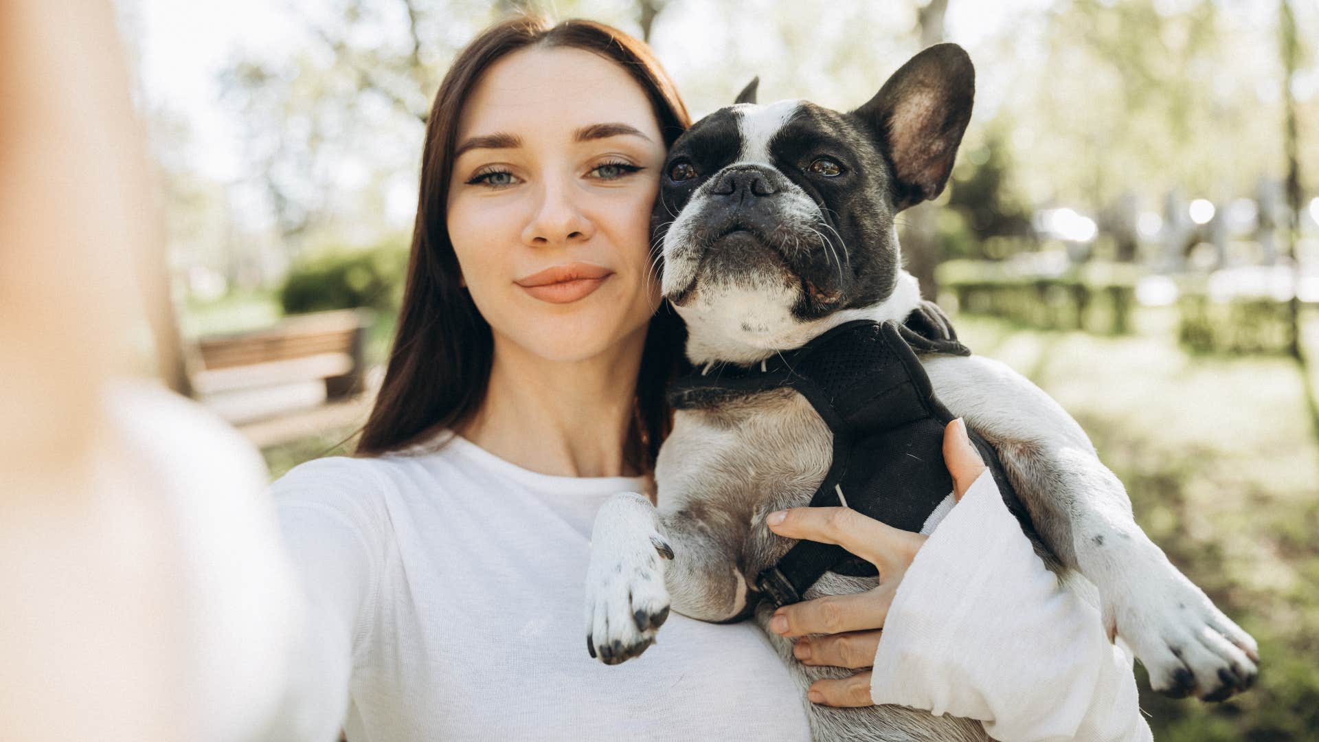 dog chooses to be near person even when nothing is happening