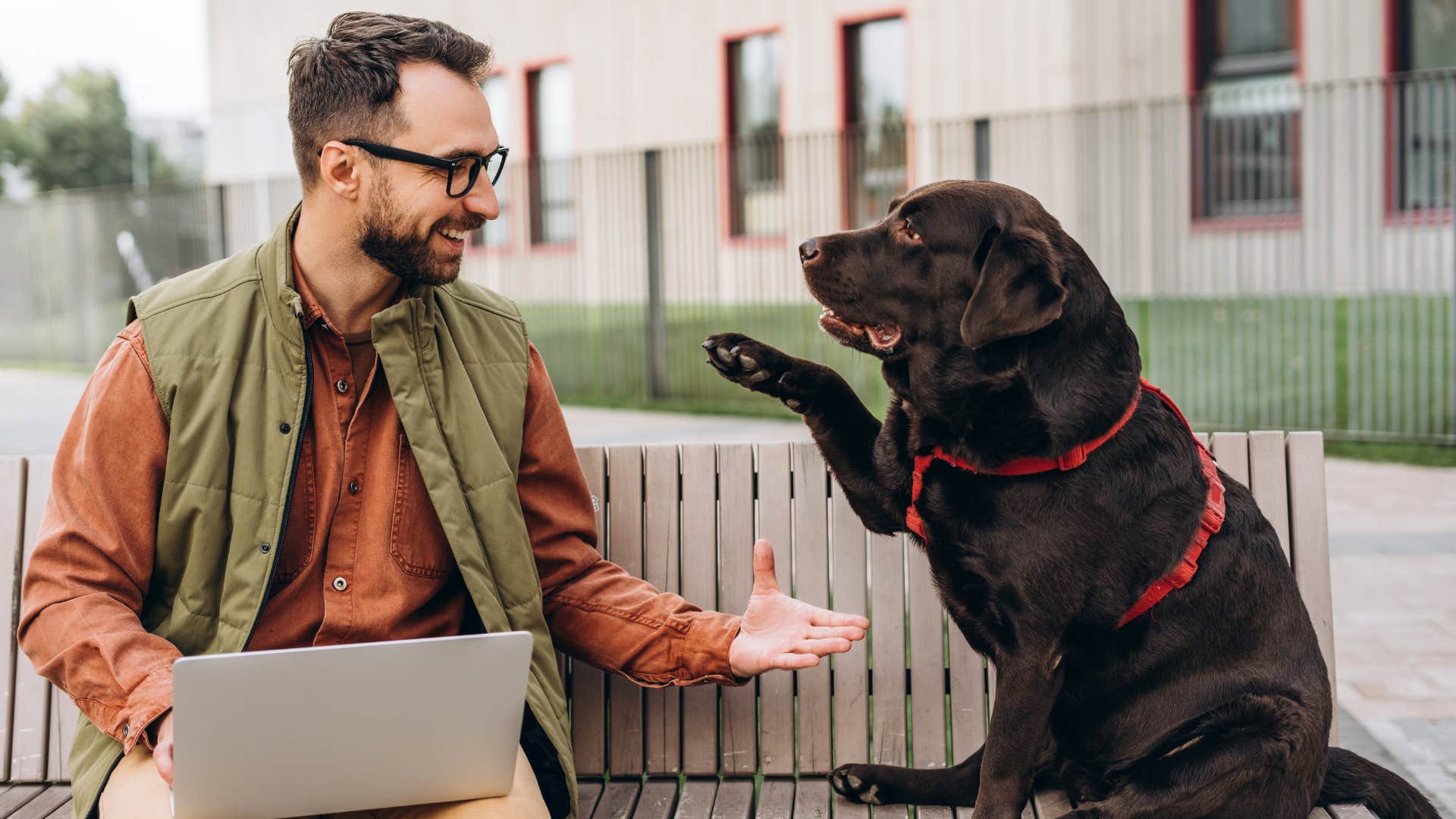 trustworthy man sitting next to dog who wants his attention