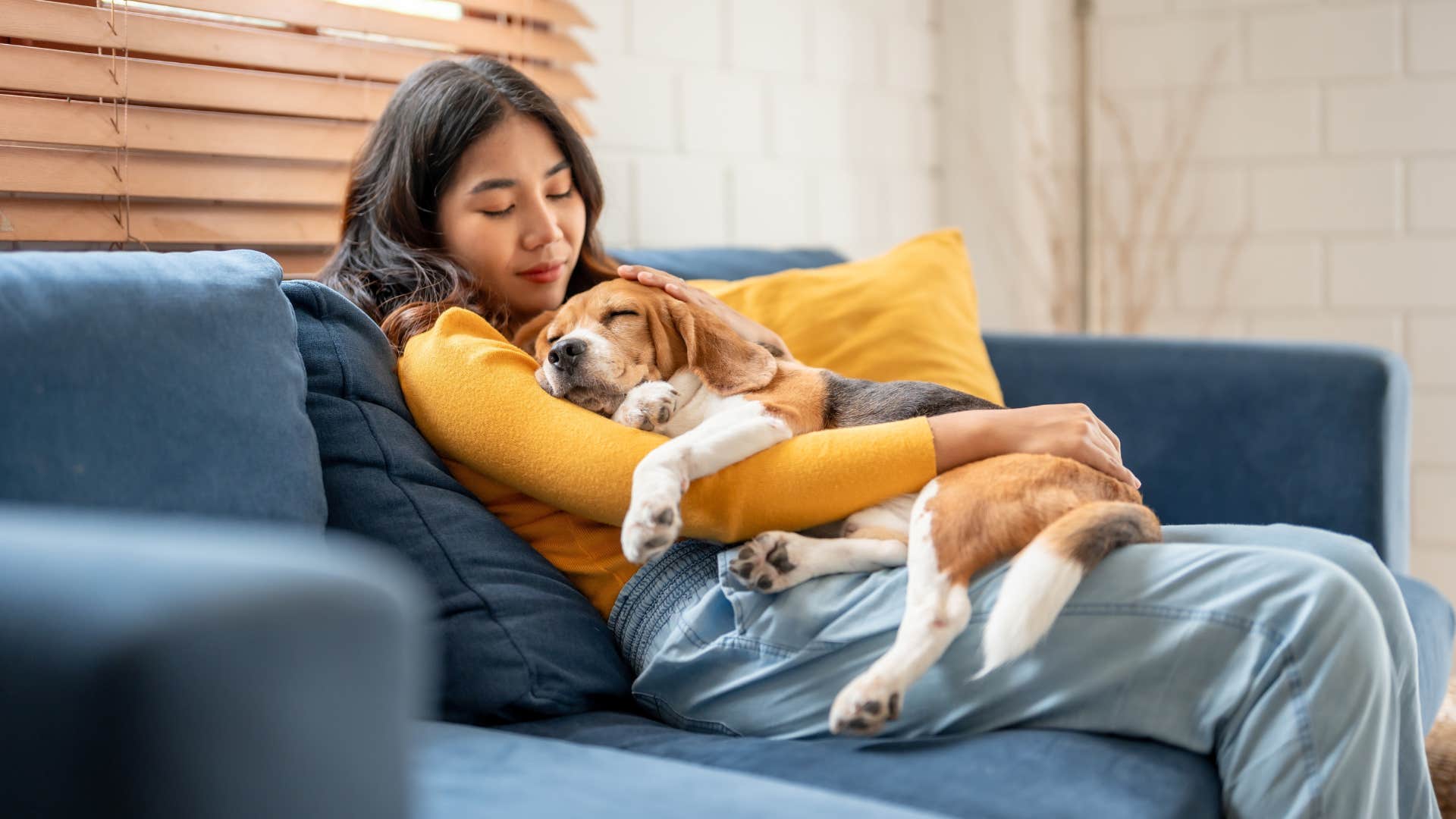 woman snuggling with sleeping beagle dog