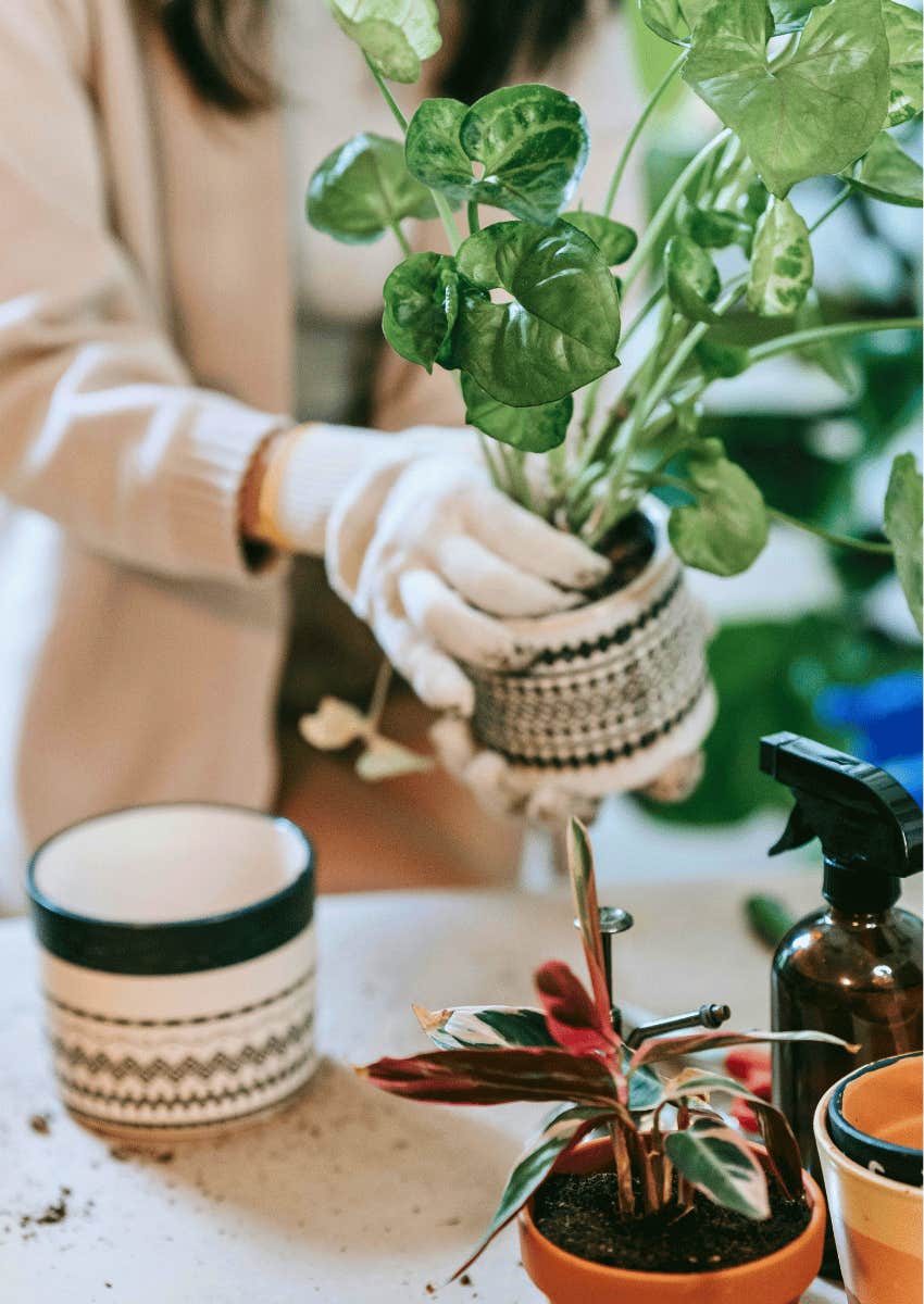 hobbies are easy for happy people