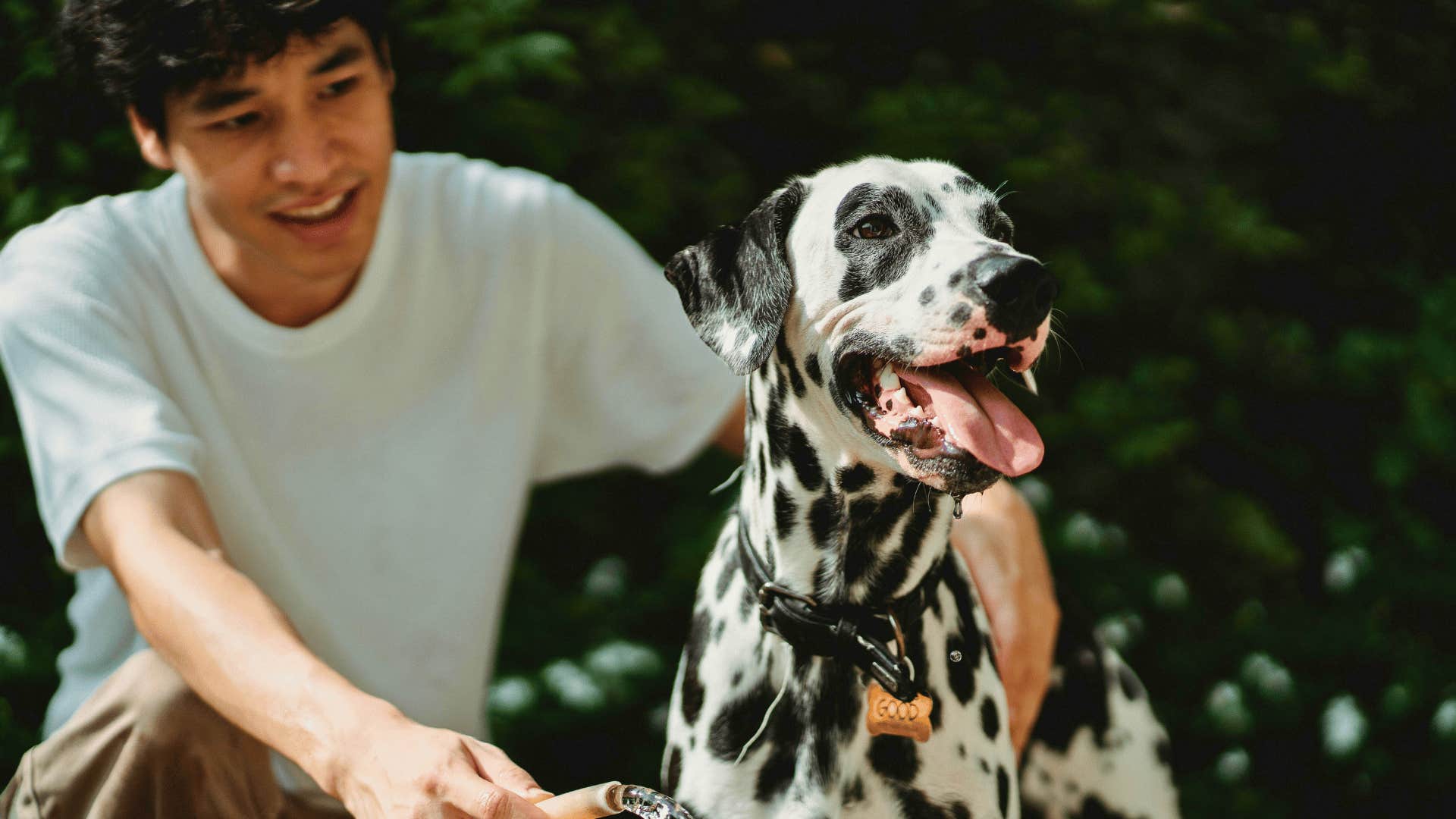 petting a pet makes life less stressful