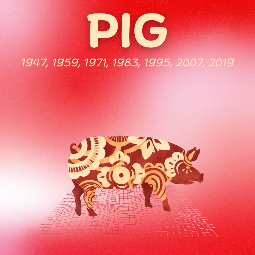 pig chinese zodiac signs wealth abundance January 13 2026