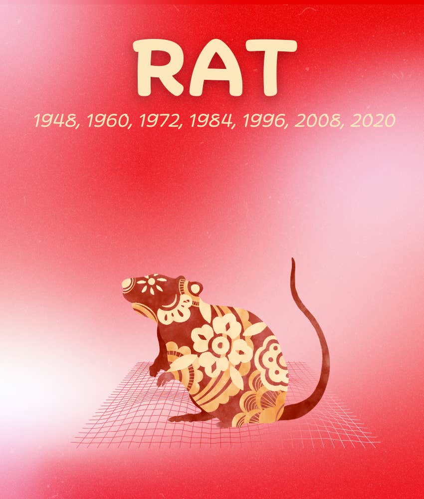 rat chinese zodiac signs abundance luck week february 2 - 8, 2026