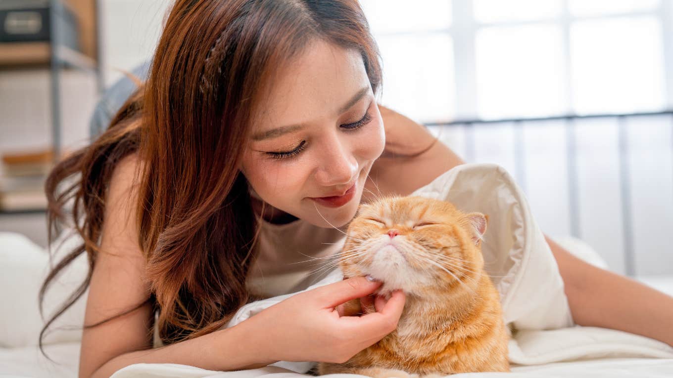 Science Says Orange Cats Are Extra Special In These 5 Ways
