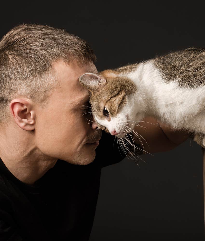 cat headbutting owner