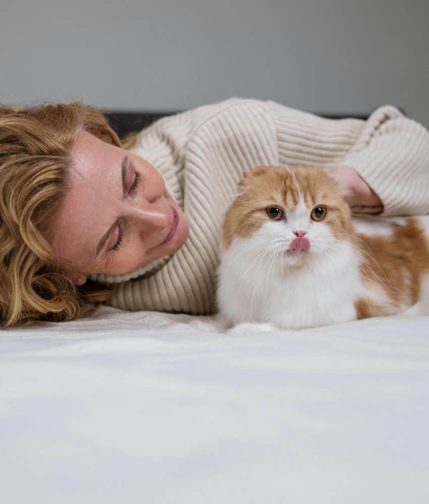 cat protecting her owner