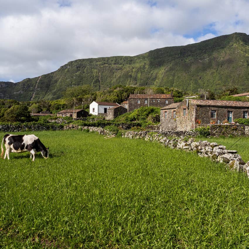 view of Aldeira da Cuada and the houses that tourists can rent