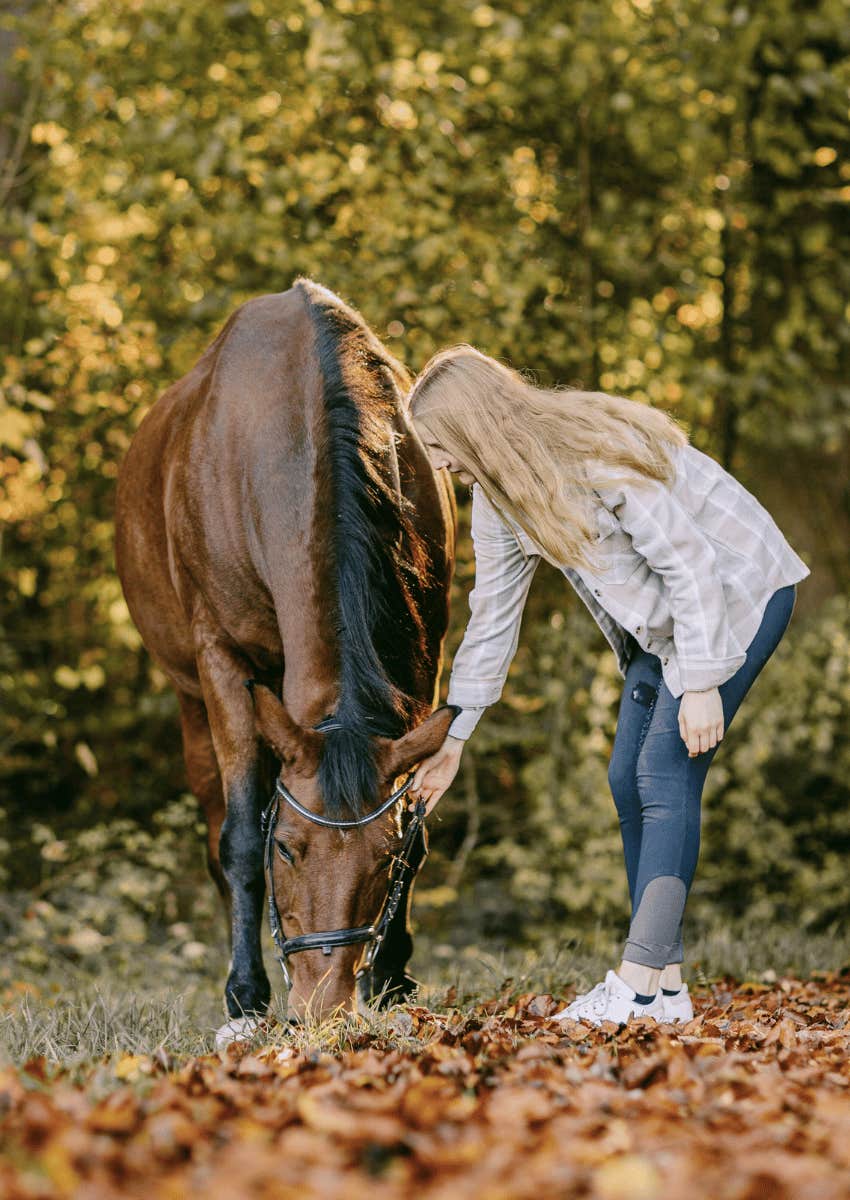 a girl's obsession with horses autism clue