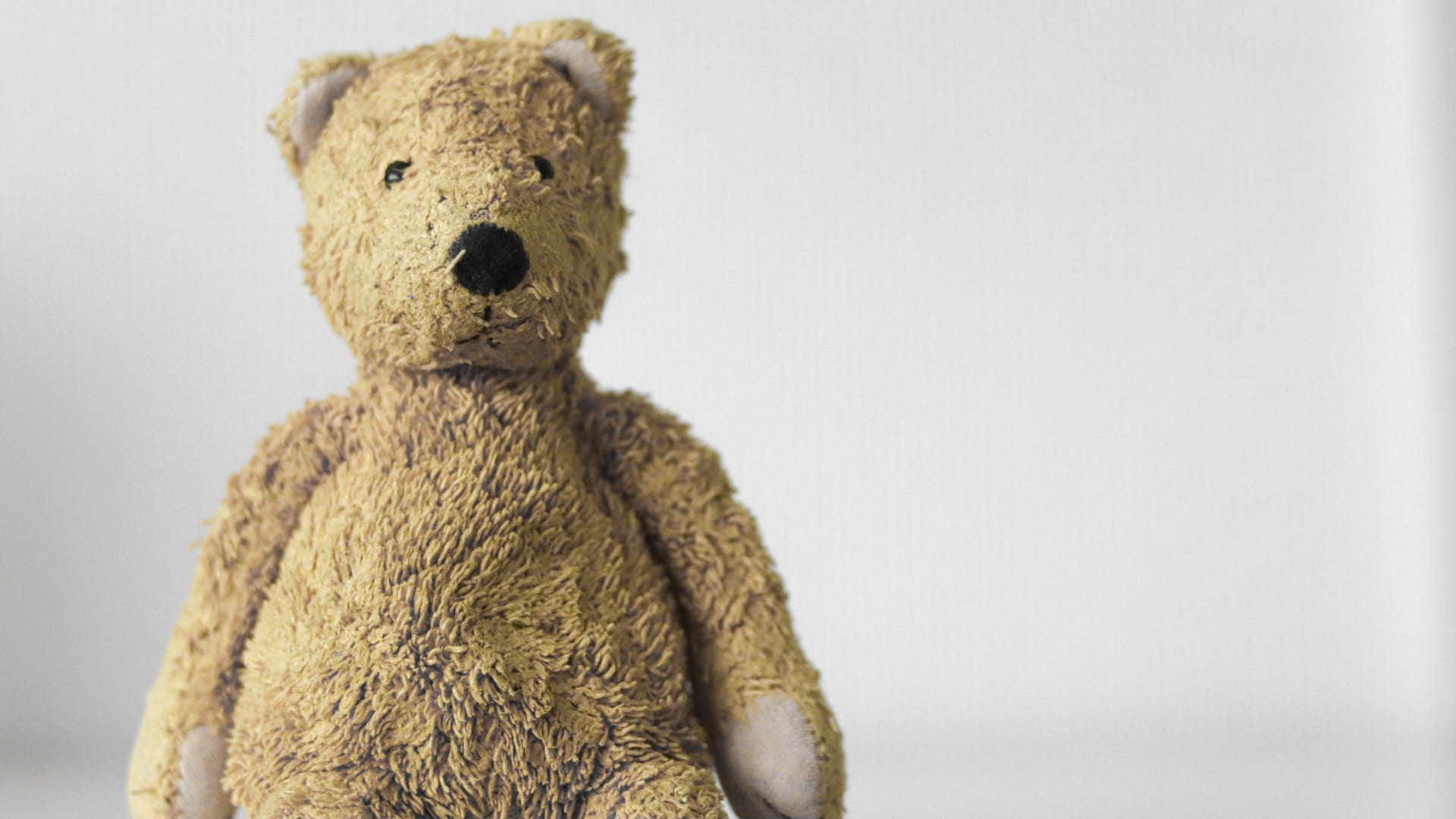 childhood stuffed animal that a sentimental person holds onto