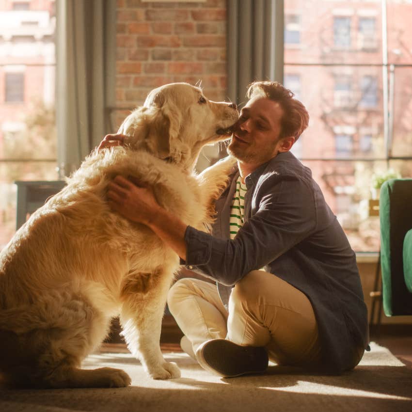 dog kissing male owner inside apartment dog owners think more themselves than pets