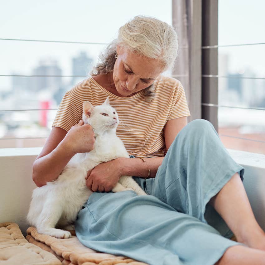 older woman petting white cat has a lower risk of heart attack