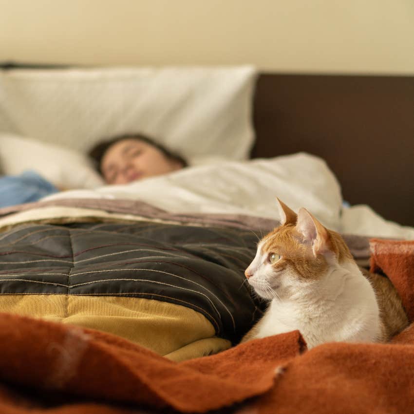 cat keeping watch over human sleeping on bed