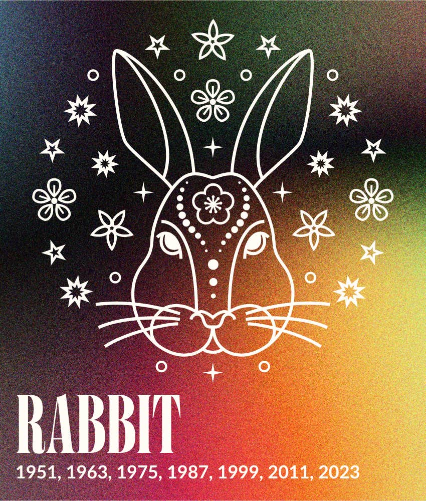 rabbit chinese zodiac signs luck good fortune february 23 - march 1, 2026