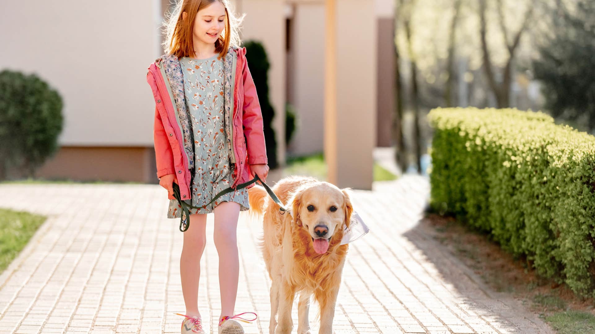 little girl and dog on a walk