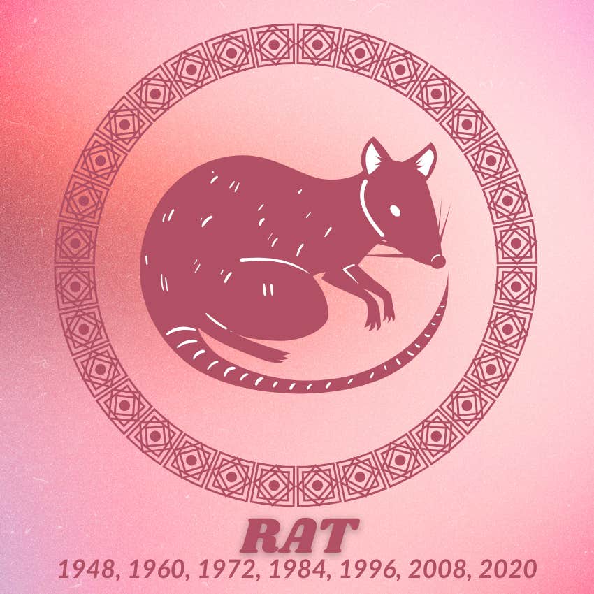 rat chinese zodiac signs wealth abundance February 11 2026