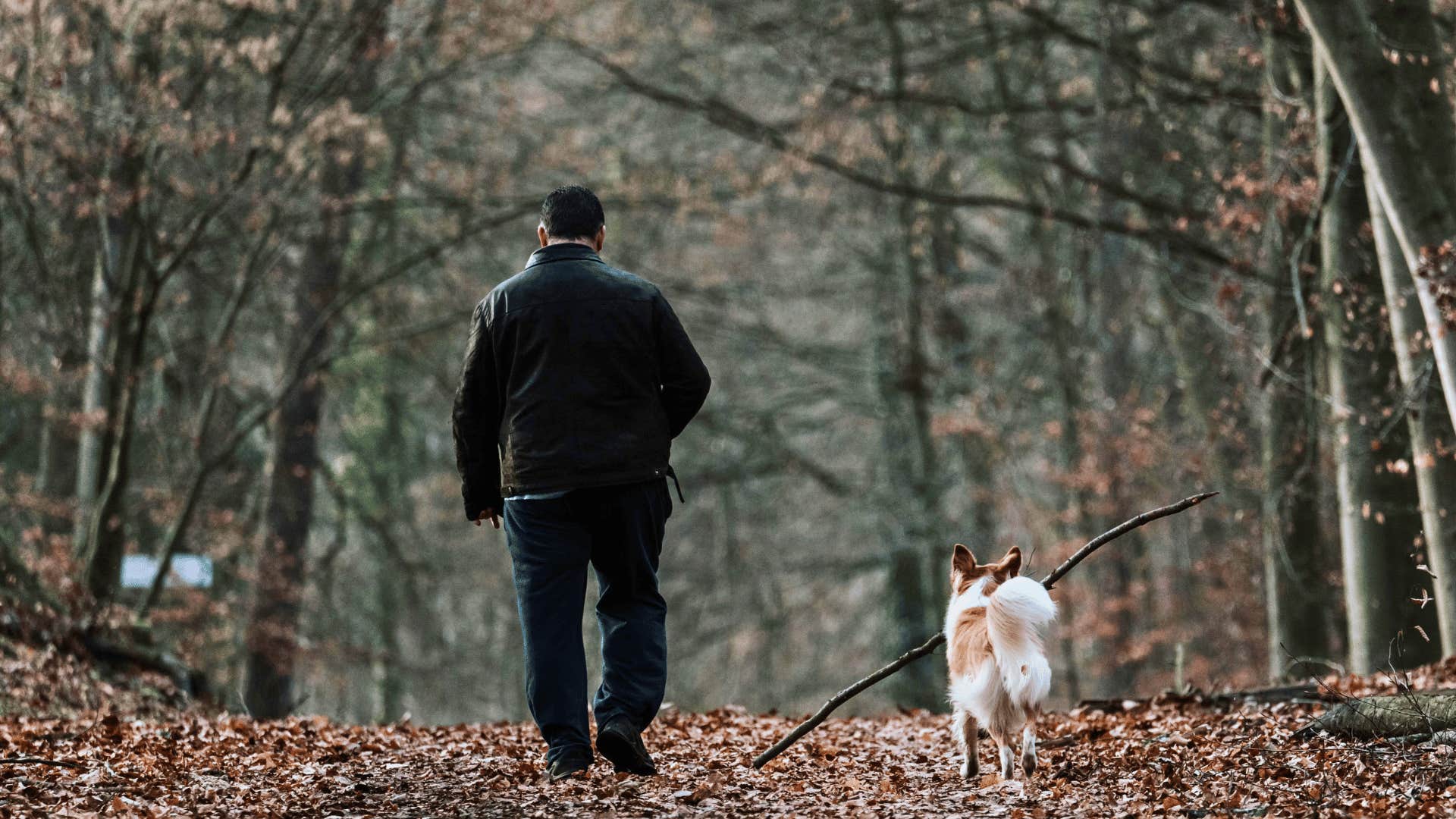 walking more helps with constantly feeling anxious