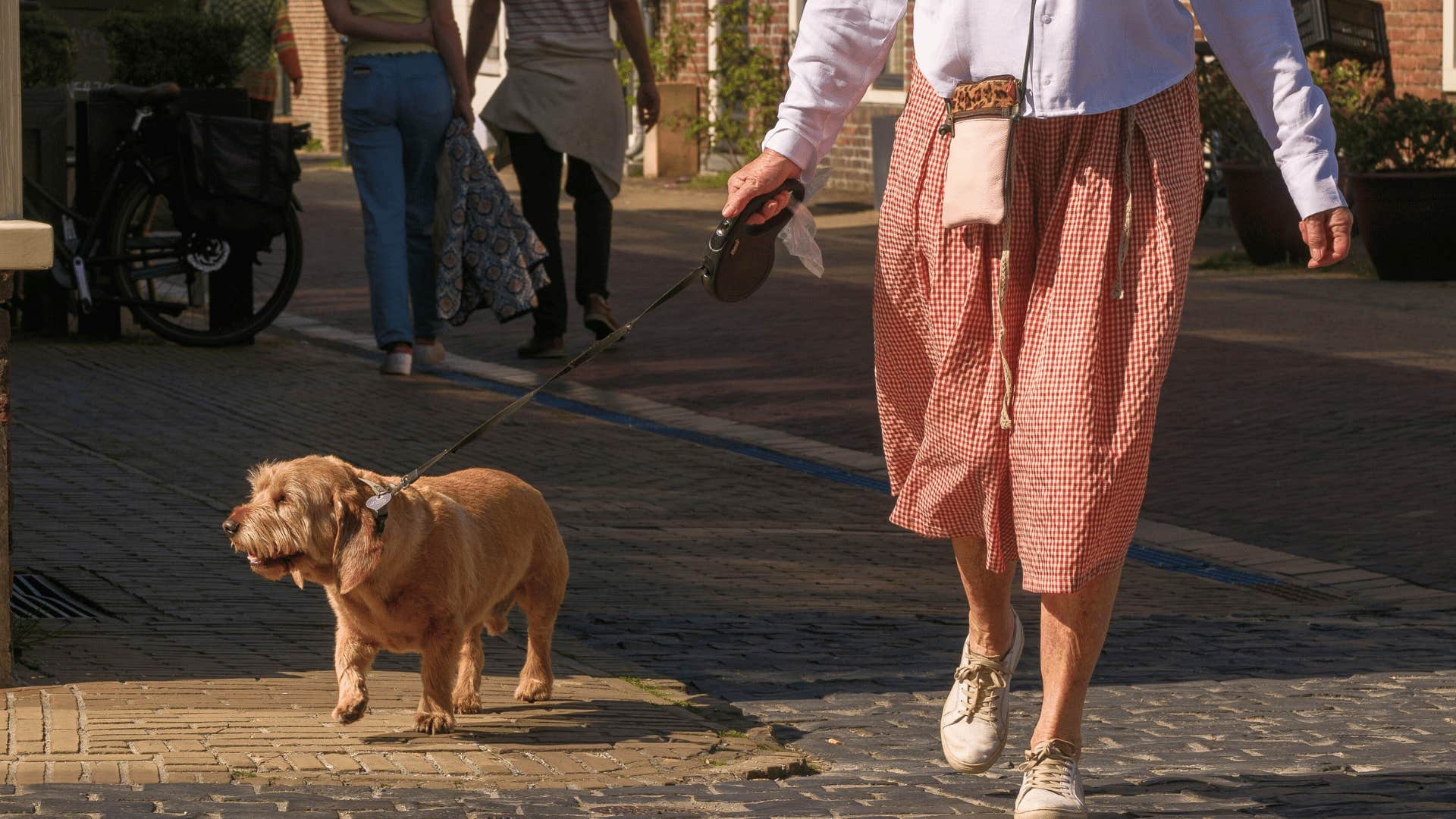 being married means having to let the dog out only half of the time