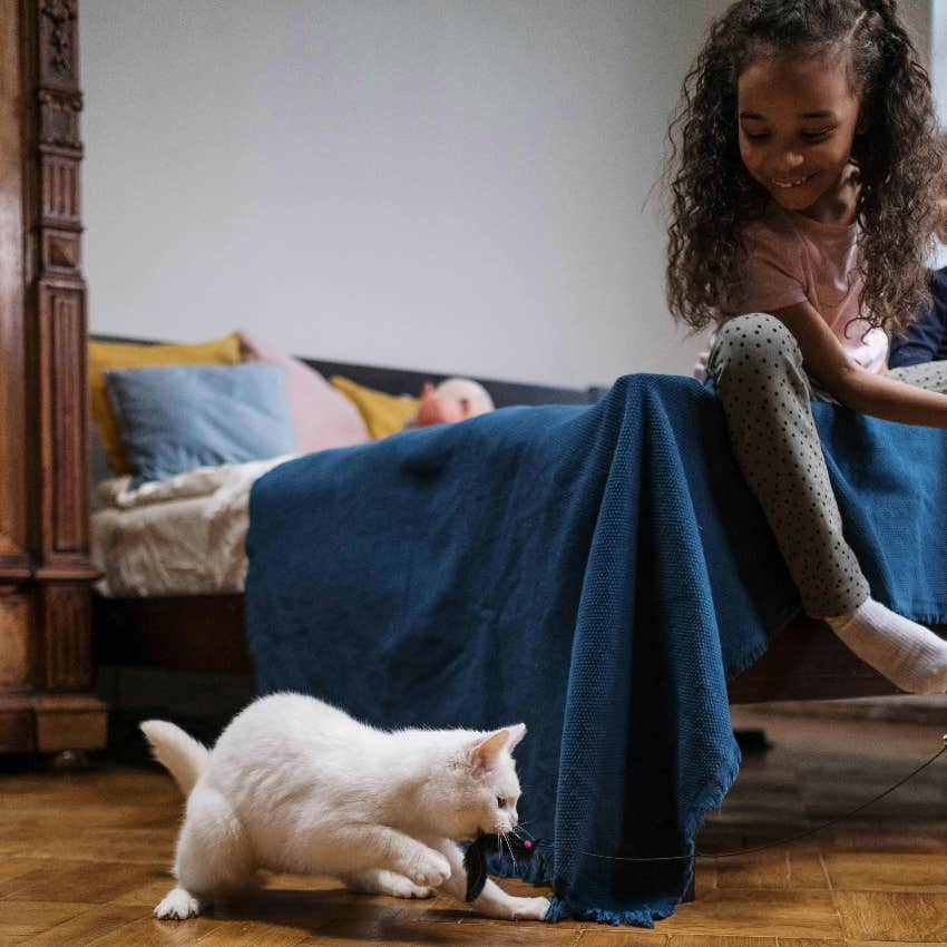 cat person who is great at solving mysteries with cat