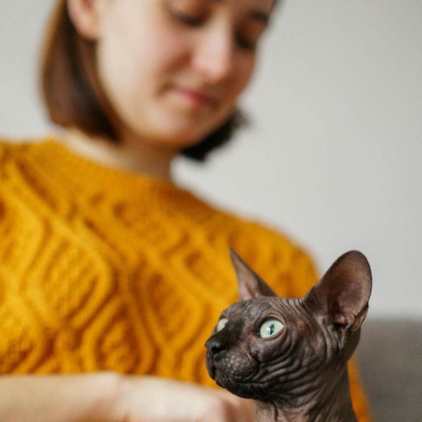 smart cat person with cat