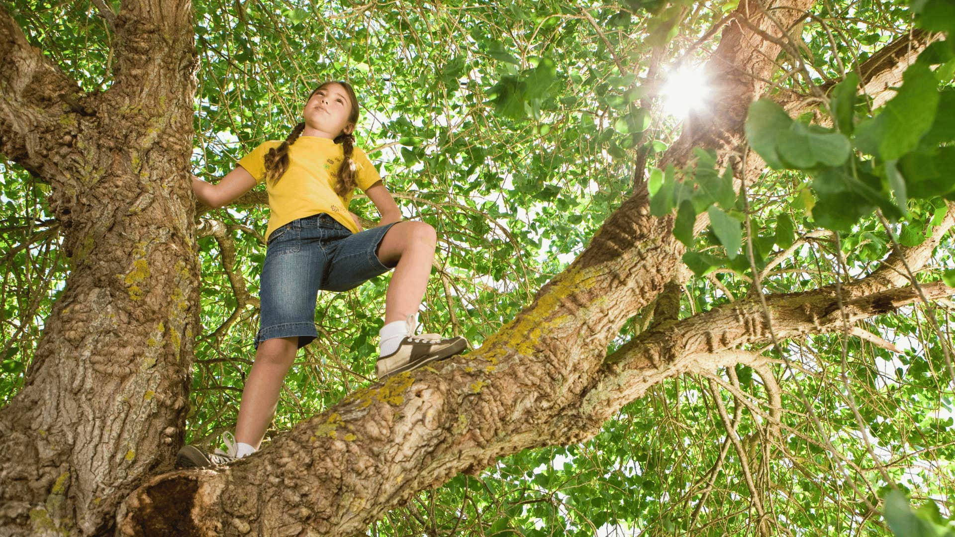 child climbing tree fearlessly