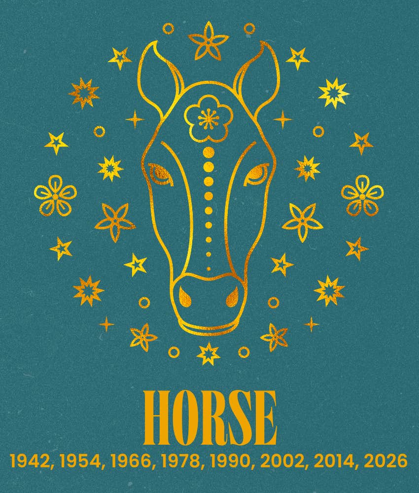 horse chinese zodiac signs life getting better 2026