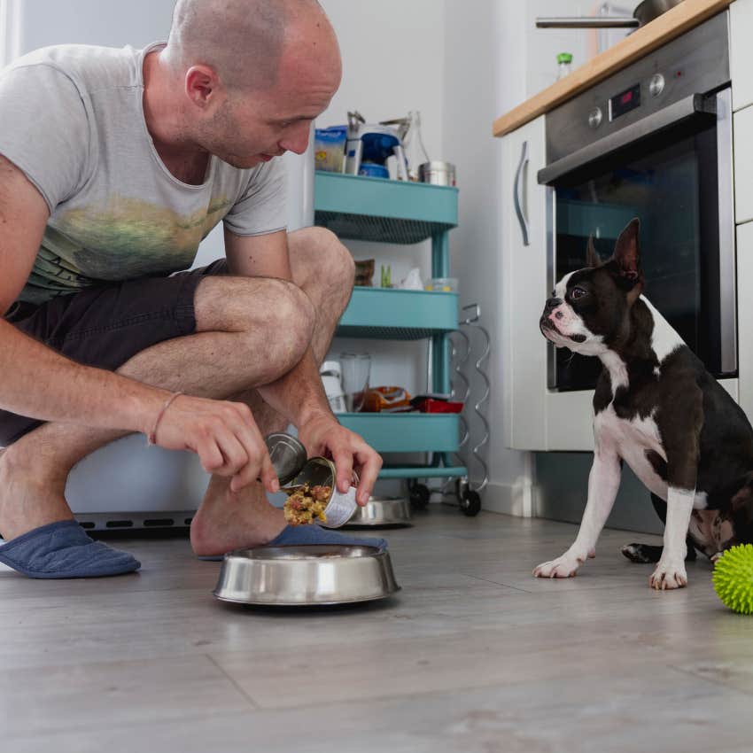 man who cares about his girlfriend's dogs diet