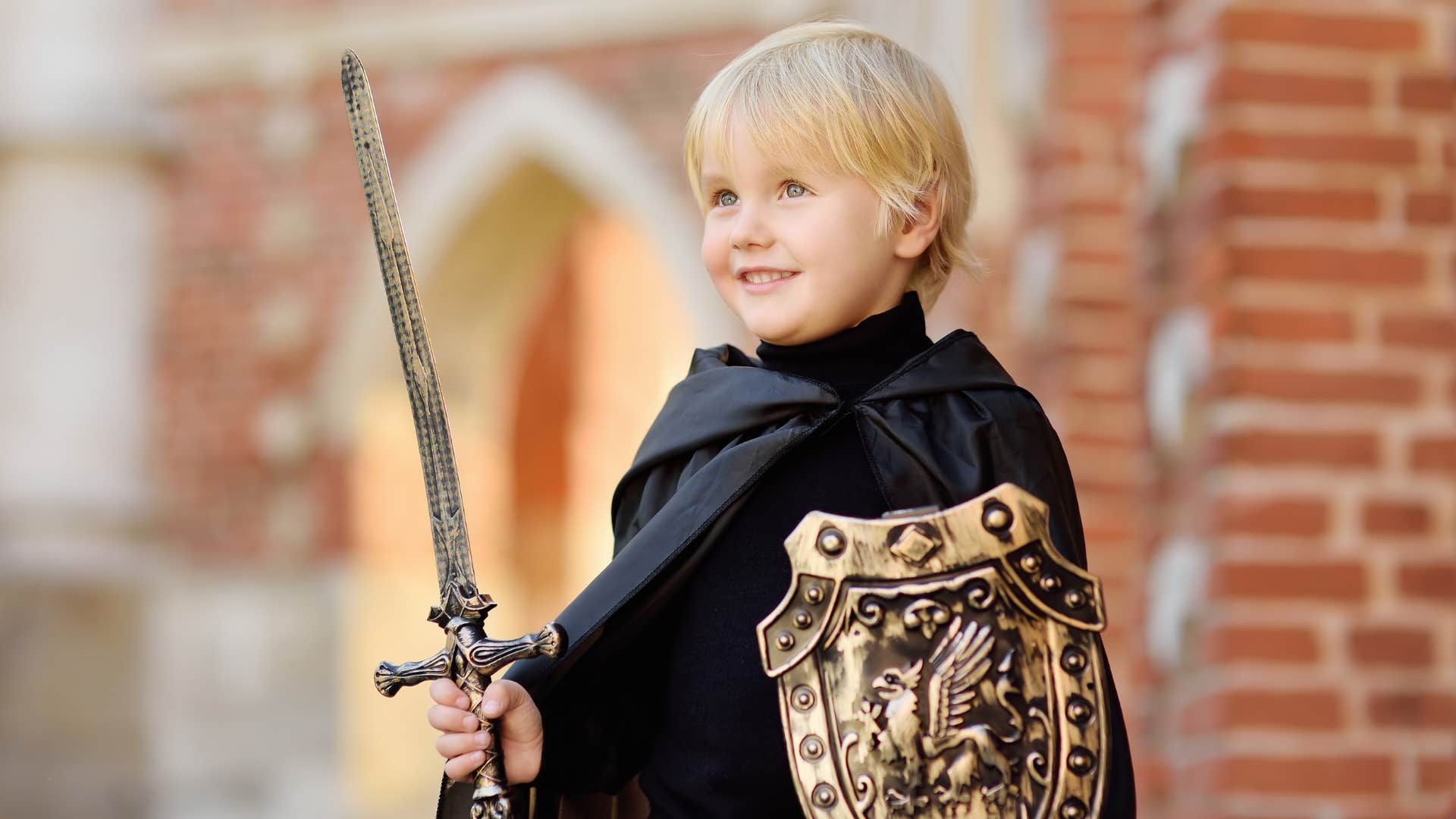 Happy boy with toy sword and shield