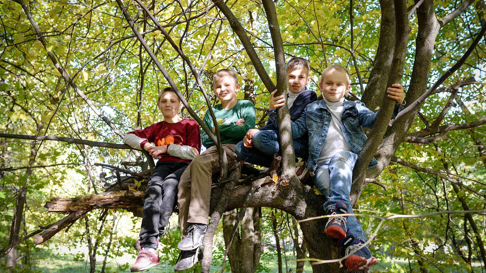kids being allowed to take the risk of climbing a tree