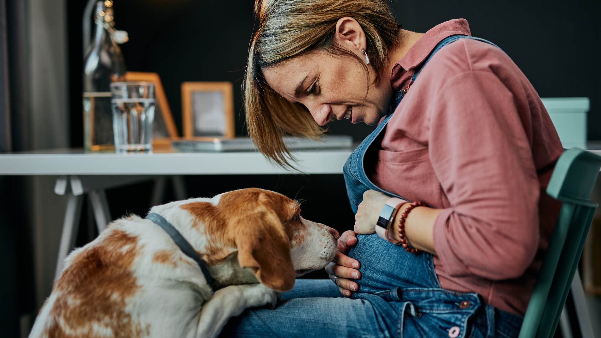 smart dog who looks guilty