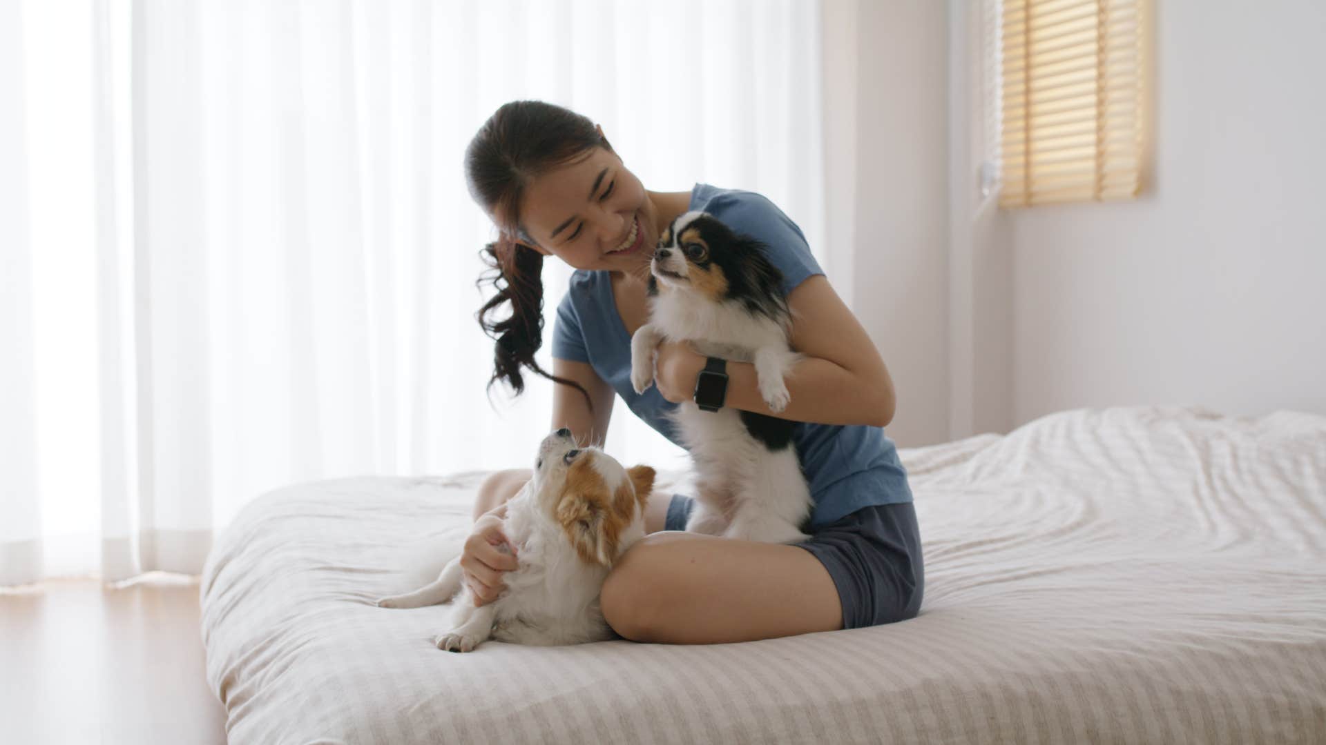 smart dog sitting on human's feet