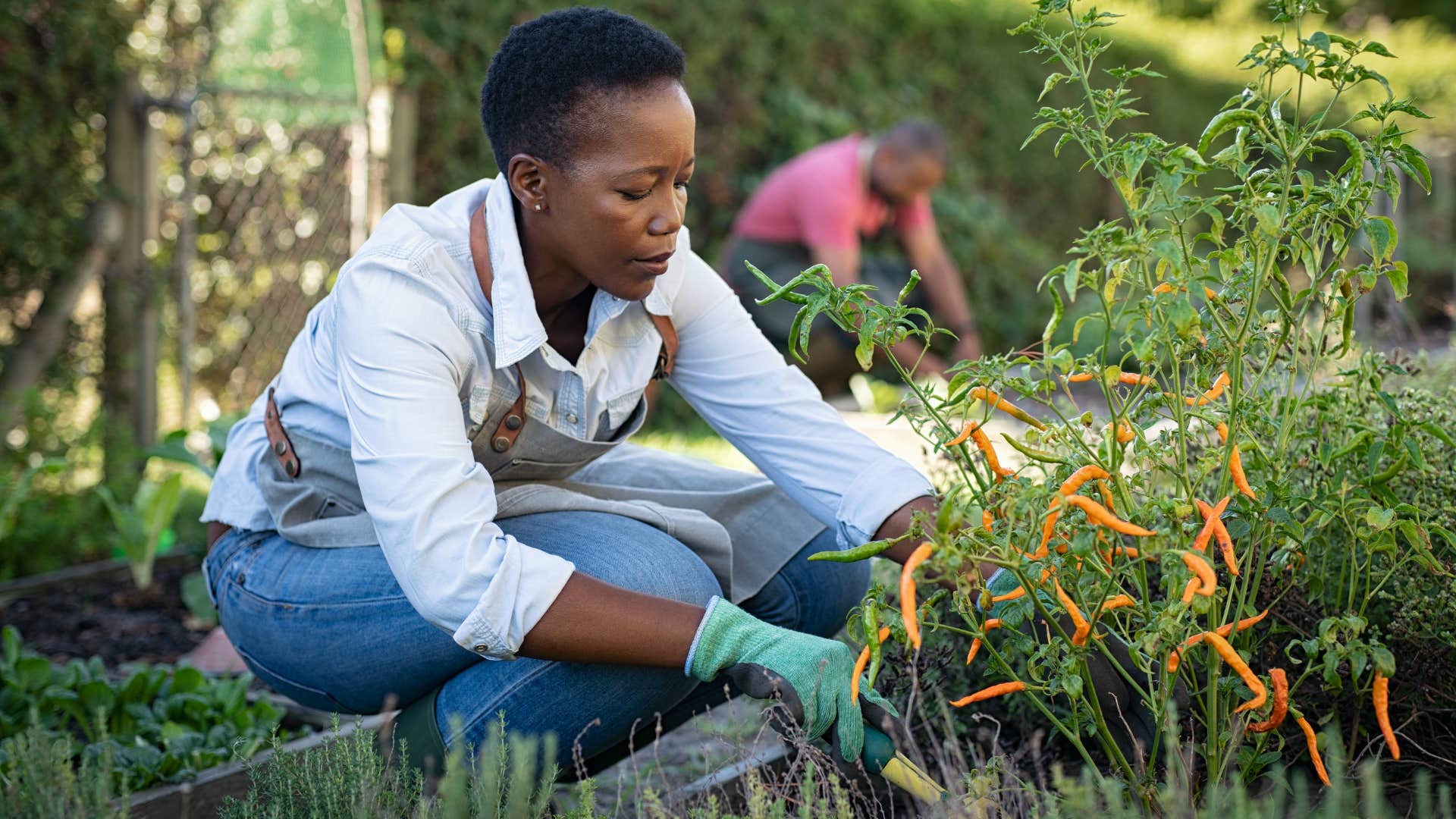 healthy older person growing food for nutrition