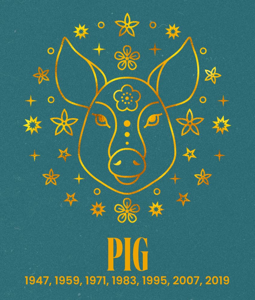 pig chinese zodiac signs abundance prosperity March 9 15 2026