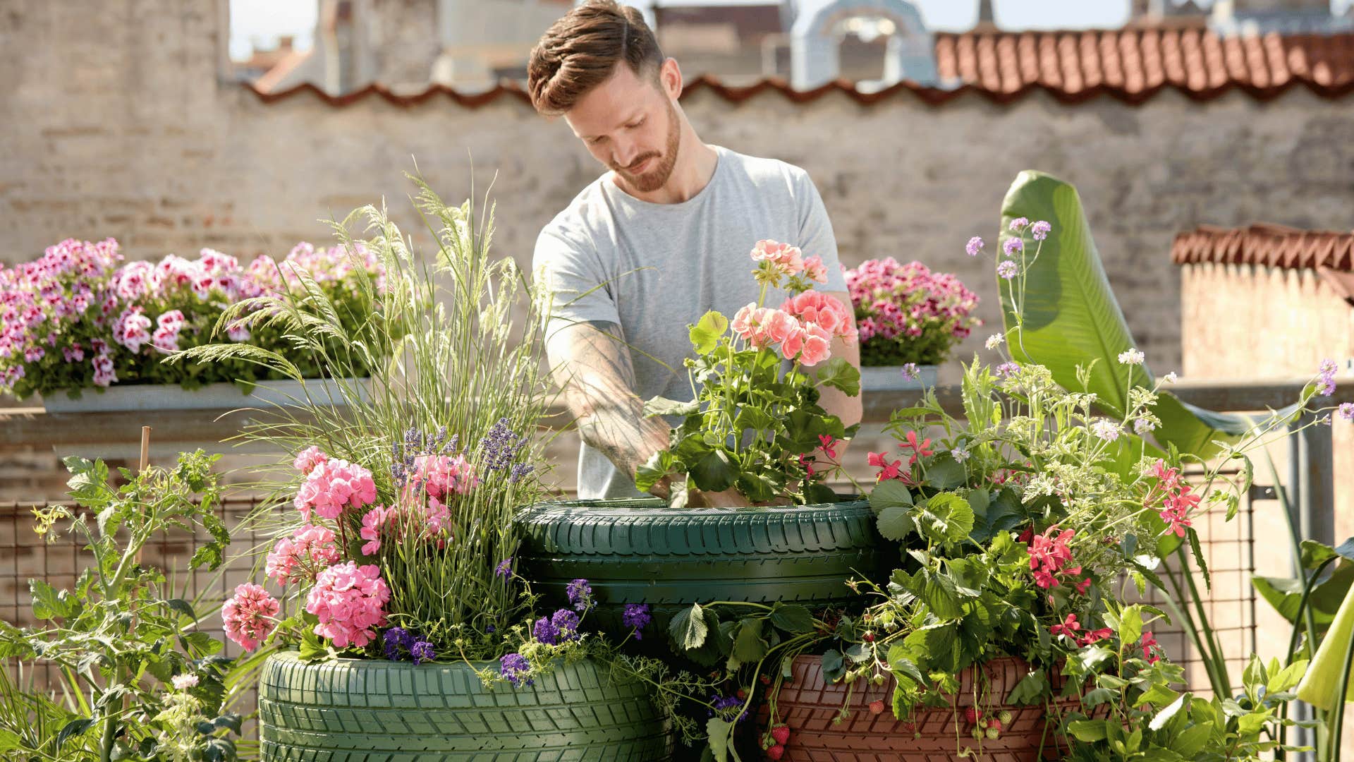 planting a garden can lower your blood pressure and improve your heart health
