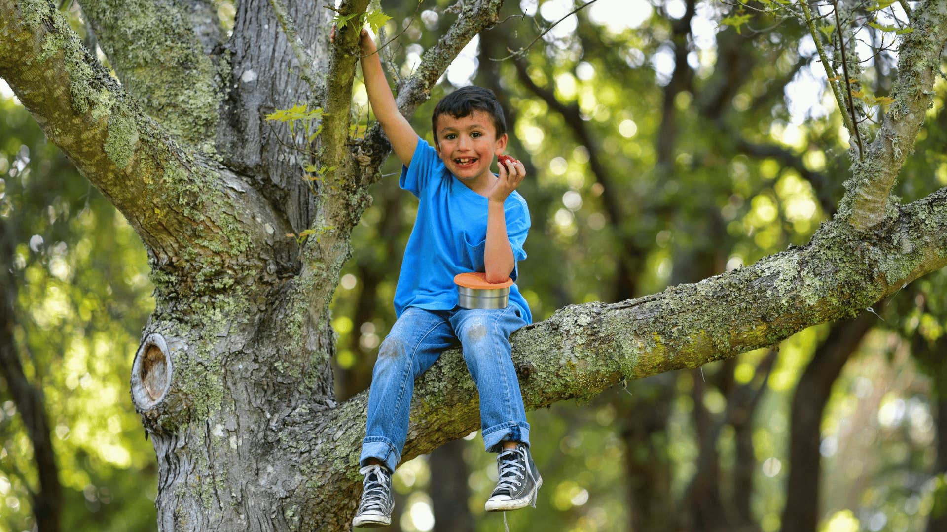 mom doing risk assessment of son sitting in tree