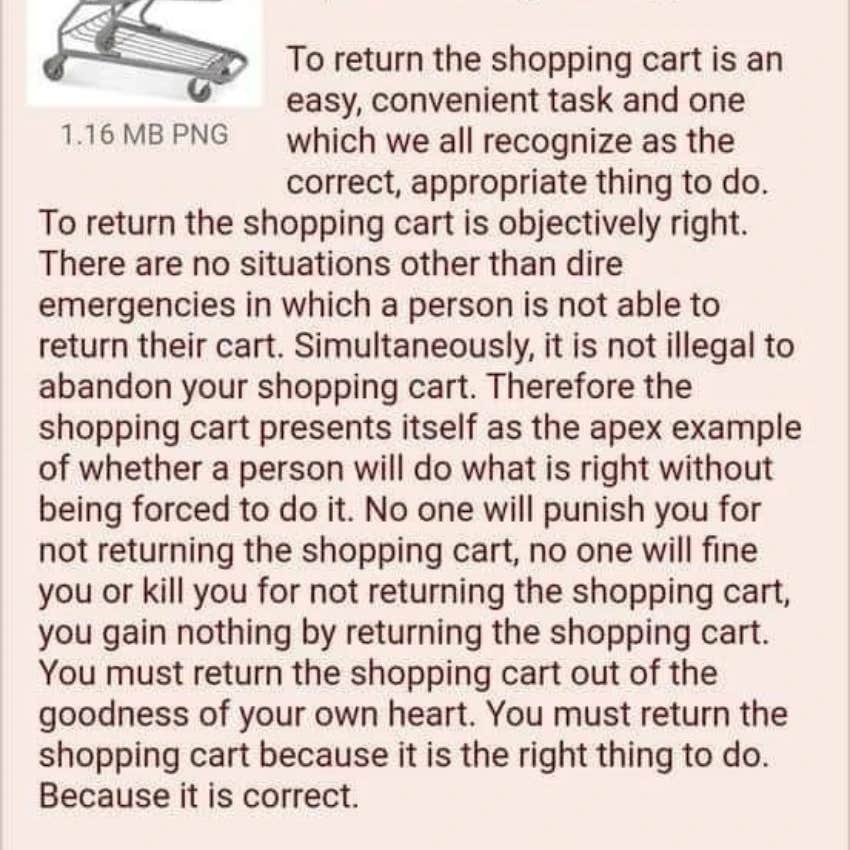 shopping cart theory description reddit