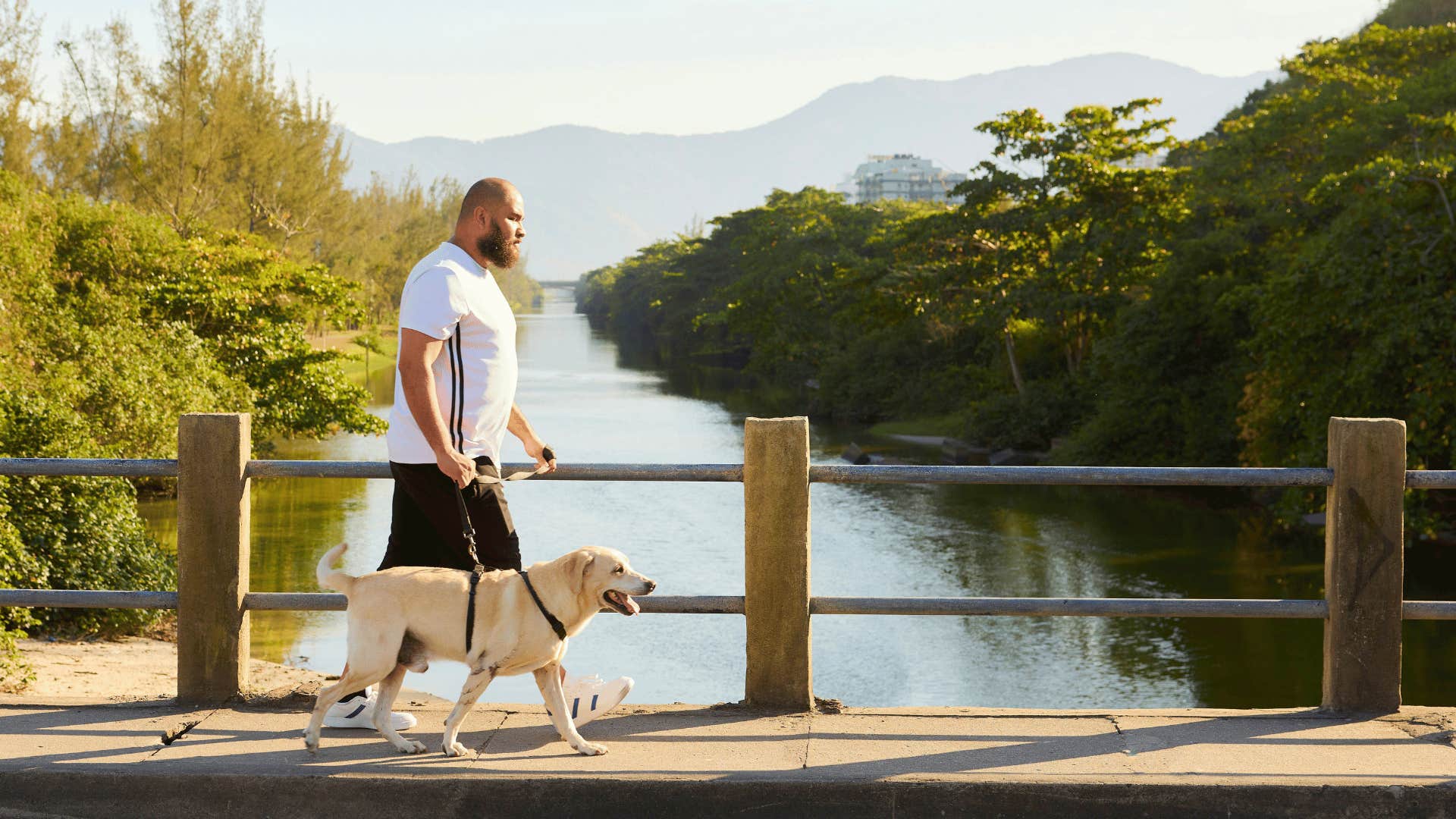 taking a walk can lower your blood pressure and improve your heart health
