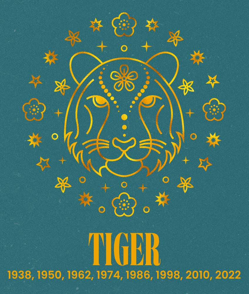 tiger chinese zodiac signs life getting better 2026