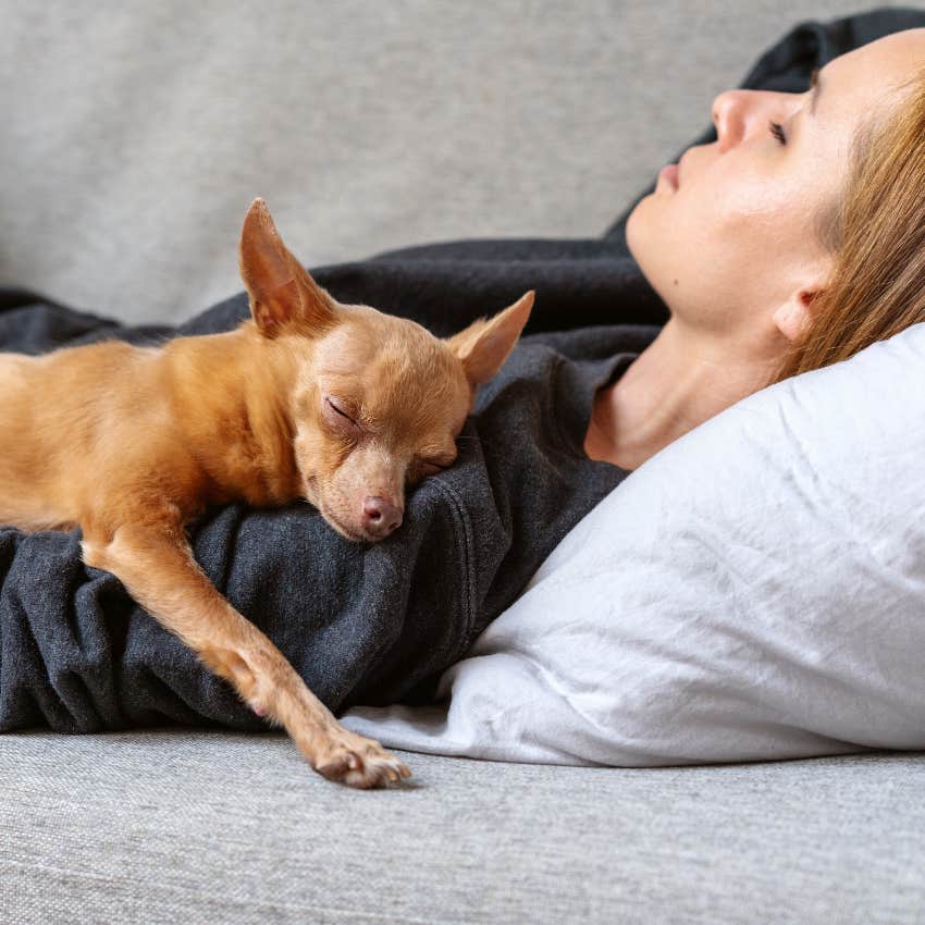 woman napping with her dog sign of love